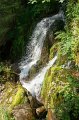 0079Cascade Wildenstein